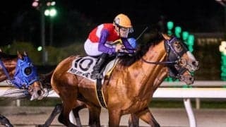 今年から重賞昇格 9戦8勝の舞台巧者や12歳馬など好メンバー集結/船橋・フリオーソレジェンドC