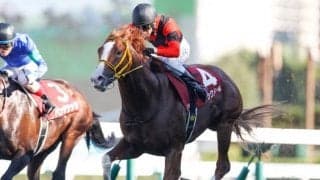昨年覇者ジャックドールやダービー馬シャフリヤールなど豪華メンバー集結/札幌記念想定馬15頭