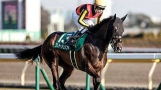 東京新聞杯3着も「着順以上に評価が必要」 とうけいば氏が関屋記念出走予定馬の近走解説