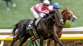 ネオユニヴァース産駒6年ぶり芝重賞制覇へ 関屋記念にメイS覇者が挑む