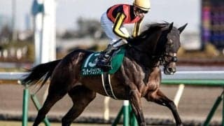 【関屋記念予想】AIが選んだ興味深い一頭 直近のパフォーマンスから不安要素はなし