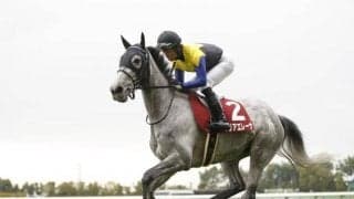 【小倉記念出走馬・騎手確定】マリアエレーナ＆松山弘平騎手、エヒト＆川田将雅騎手など16頭