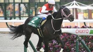 ショウナンバルディに右前浅屈腱炎が判明 9カ月以上の休養見込み