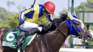 関屋記念は逃げ馬に要注意！ 逃げれば複勝率100％のセルバーグにもう一発を期待