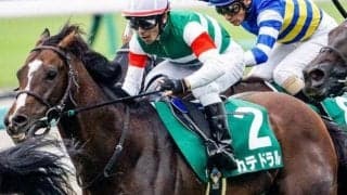近10年で8頭が馬券圏内に好走 小倉記念に強い“トニービンの血”を持つ馬に要注意