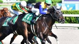 ディープインパクト産駒が3年ぶりの関屋記念5勝目を狙う 伏兵3頭が参戦