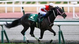 ショウナンバルディの右前浅屈腱炎が判明