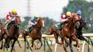 夏の名物重賞・関屋記念 意外と知らないレース名の由来と歴史とは