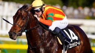 関屋記念は520kg以上の馬が狙い目！ 前走552kgのダート巧者に期待