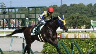 【関屋記念枠順確定】ディヴィーナは1枠1番、セルバーグは3枠5番