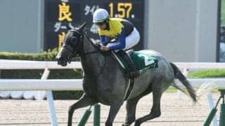 【小倉記念枠順確定】マリアエレーナは2枠4番、エヒトは2枠3番