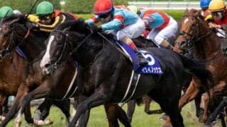 イクイノックスが世界一守る ロンジンワールドベストレースホースランキング