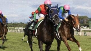 ニシノデイジーらに続け 平地重賞馬マイネルファンロンが今週末障害デビュー