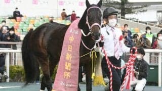 21年中日新聞杯覇者ショウナンバルディが抹消・地方移籍へ 右前浅屈腱炎を発症と10日に発表