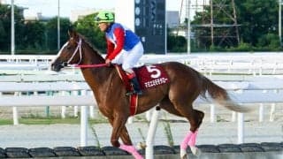 【兵庫ジュベナイルC】マミエミモモタローがデビュー2連勝…川原騎手は地方競馬重賞最年長勝利記録を更新