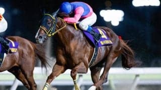 コリアC・コリアスプリントの招待馬発表 日本からはメイショウハリオなど計4頭