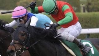 過去11戦のうち10戦で掲示板確保の堅実派 筑紫特別で待望の2勝目なるか