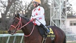 関屋記念で注目の血統は「ダンチヒ」と「ディープインパクト」 本命は44戦の大ベテラン、対抗は？