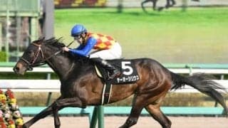 小倉記念は荒れる。高配当を演出するのは、逃げ宣言の「大穴」と格上挑戦の「中穴」