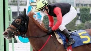 園田での3戦は完勝 土曜小倉12Rは再転入初戦のラブリアージェに注意