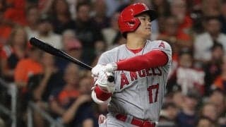 【MLB】大谷翔平、バーランダーから“悪球打ち”中前打　数個分外れるも…意地のチャンスメーク
