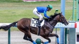 単勝208.2倍の伏兵が4馬身差の圧勝 新潟4Rを初出走馬ヒサメが制す