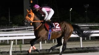 【摂津盃】ツムタイザンが2年7ヶ月ぶり重賞V…木村健師「本当に強かった」