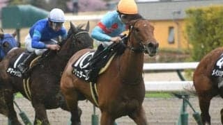 馬場傾向から日曜に狙いたい3頭 新潟芝はキンカメ系に要注意