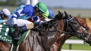 【AI予想・関屋記念】サマーマイルシリーズの行方を左右する重要な一戦！ 本命候補は近況の充実ぶり光る良血馬