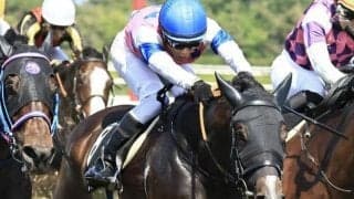 【日曜札幌7R予想】坂路で好時計連発 距離延長でガラリ一変あるぞ