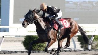 【高知・魚梁瀬杉特別】単勝1.0倍デステージョが人気に応える…宮川「終始追いっぱなし」