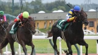 【盛岡・クラスターC枠順】プロキオンSを制したドンフランキーは4枠6番、同レース2着のリメイクは5枠8番