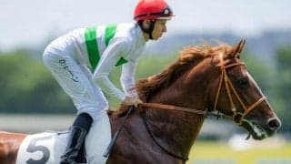 札幌6R出走のデイライトは前進気勢を欠いて競走中止 12日の出来事一覧/札幌・新潟・小倉