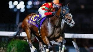 【門別・ブリーダーズGC枠順】関東オークス制したパライバトルマリンは2枠2番、昨年3着のテリオスベルは6枠6番