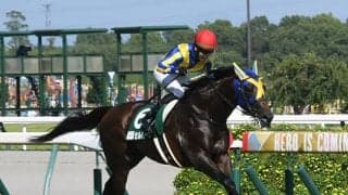 【今日の注目ポイント】新潟でサマーマイル第3弾の関屋記念、ハンデ重賞の小倉記念