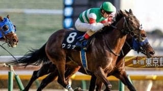 【小倉記念予想】小回りハンデ戦で難解 人気馬苦戦傾向も実績重視