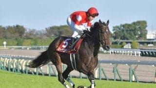 【関屋記念予想】ワンターンのマイル戦 瞬発力より持続するスピード問われる