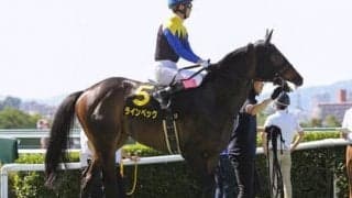 関屋記念は末脚勝負と見られがちだが、狙うべきはスピードの持続力がある逃げ・先行馬