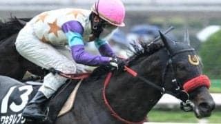 【関屋記念予想】左回りのマイルがベスト カワキタレブリーの末脚にかける