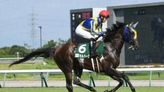 【関屋記念予想】19年連続で外枠が連対中!? さらに狙える「逃げ馬」「前走中京記念組」