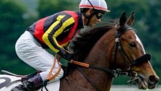 【日曜新潟12R予想】芝1400m以下の良馬場なら安定感抜群 1年10カ月ぶりの白星をつかむか