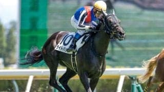 【新潟5R新馬戦結果】ライトバックが豪快に差し切りデビューV！