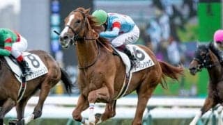 【札幌5R新馬戦結果】アーバンシックが鋭く差し切りデビューV