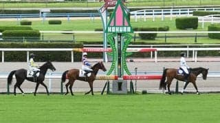 【フェニックス賞結果】シカゴスティングが2番手から抜け出し連勝