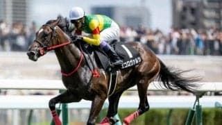 【コスモス賞結果】エコロヴァルツが6馬身差圧勝で無傷2連勝