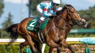 【関屋記念結果】アヴェラーレが決め手鋭く差し切り重賞初制覇！