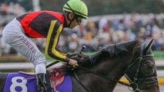 【札幌記念・登録馬】GI馬3頭含む豪華メンバー集結 シャフリヤールら15頭