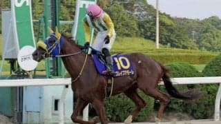 【佐賀・ロータスクラウン賞結果】ブレイブアモーレが差し切って重賞2勝目を挙げる