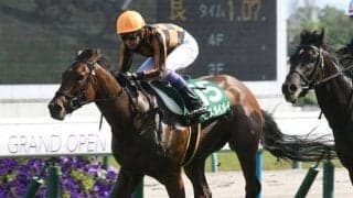 【北九州記念】モズメイメイ、ジャスパークローネらが登録