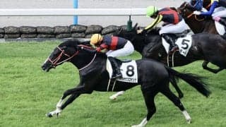 【小倉1R】4億円ホース、ホウオウプロサンゲが初勝利